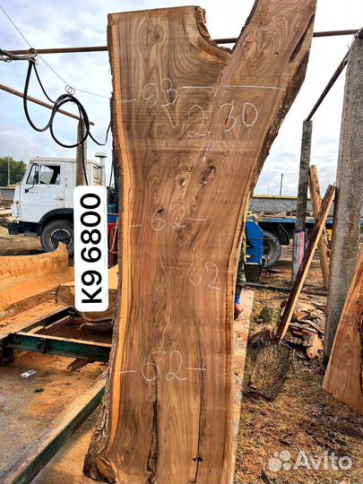 Слэб карагач