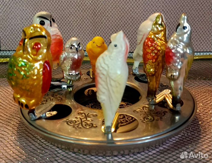 Мир пернатых