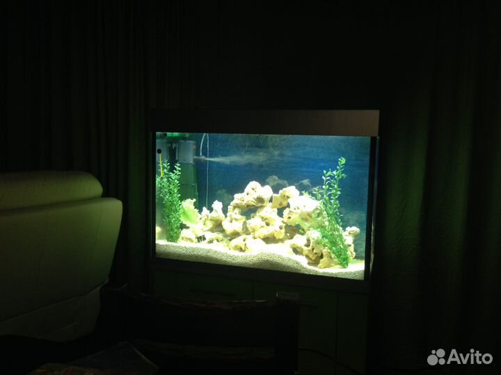 Аквариум для рыбок