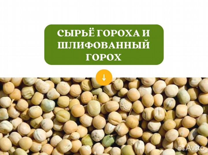 Горох с поля (сырье) (кг)