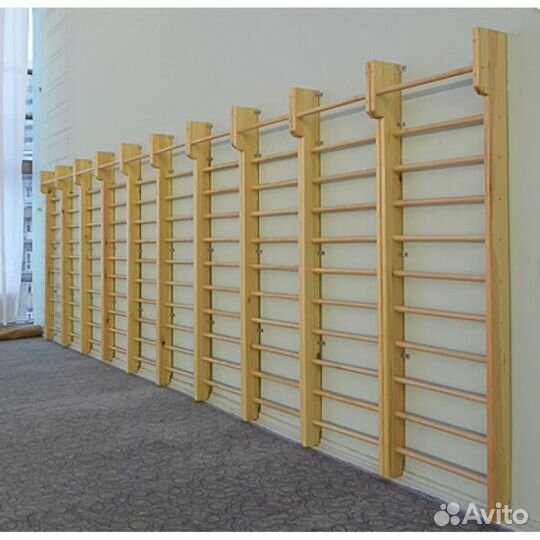 Стенка гимнастическая с выносом 2800х800