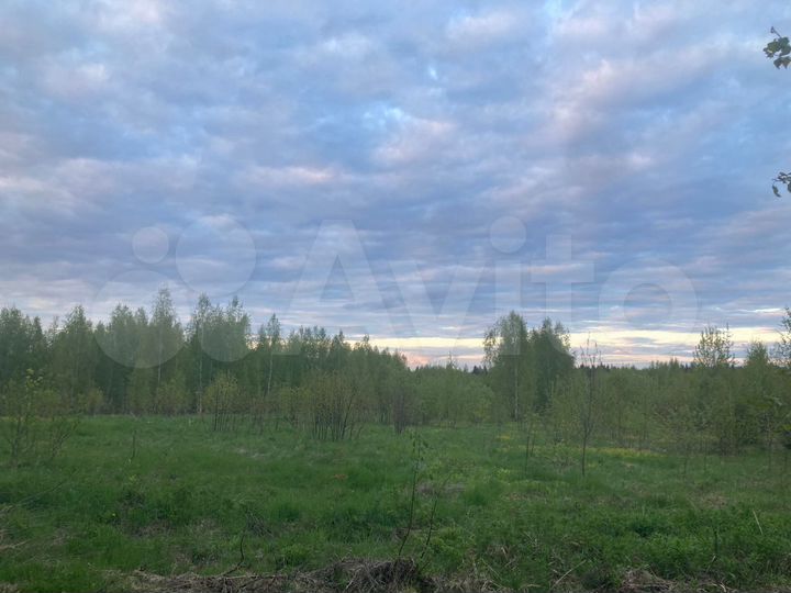 Участок 100 сот. (ИЖС)