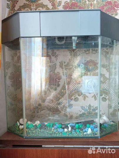 Аквариум