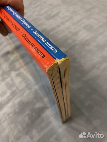 Зимняя, осенняя книга Ротраут Бернер виммельбух