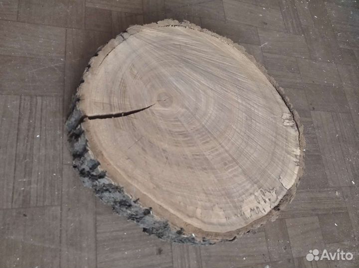 Спил из дуба