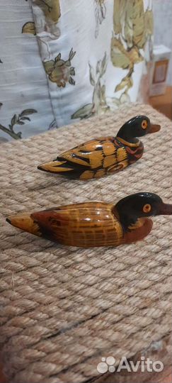 Уточки мандаринки