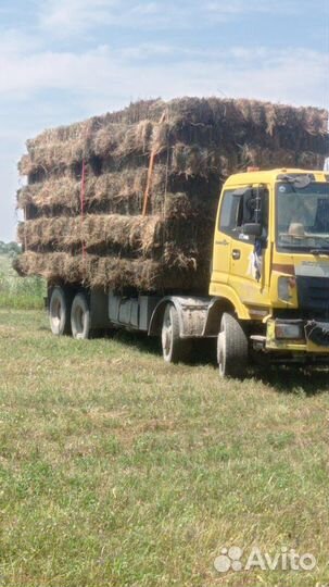 Foton Auman BJ33xx, 2008