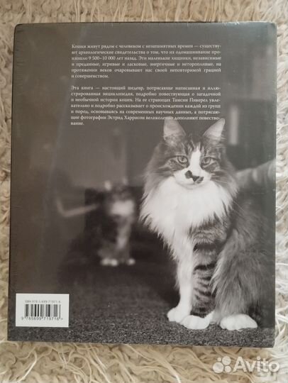 Книжка энциклопедия о кошках