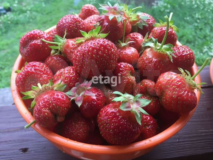 Участок 6 сот. (СНТ, ДНП)