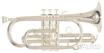 Корнет ROY benson CR в ассортименте