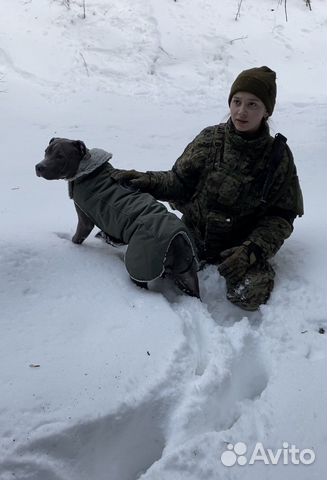 Услуги кинолога