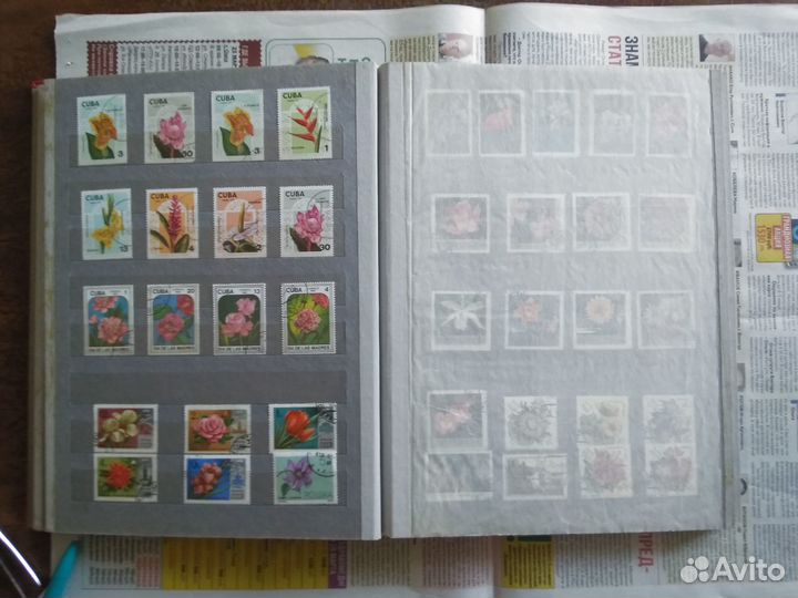 Альбом для марок 4