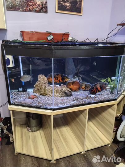 Аквариум с тумбой