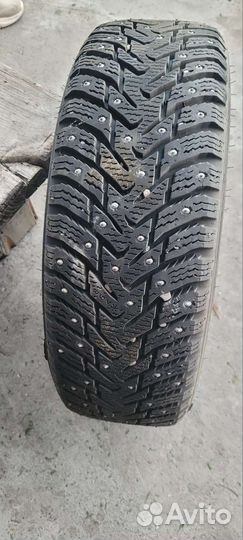 Nokian Tyres Hakkapeliitta 8 175/65 R14