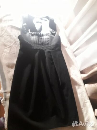 Сорафан школьный