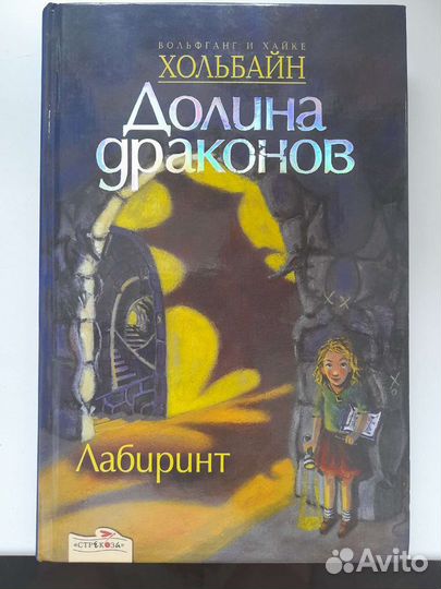 Долина драконов. Лабиринт (Хольбайн)