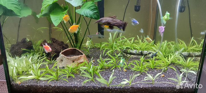 Аквариум 125 л