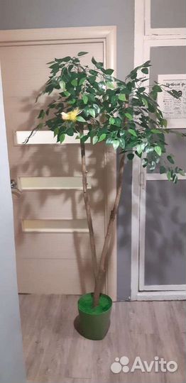 Искусственное дерево