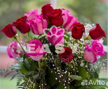 Цветы розы с доставкой 101 51 501