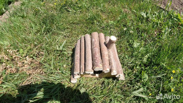 Домик для хомяка