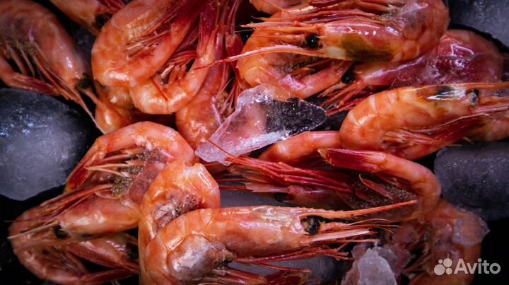 Креветка магаданская 80/100