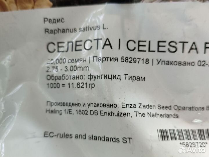 Рассада помидор и перцев, овощи, Петуния, огурцы