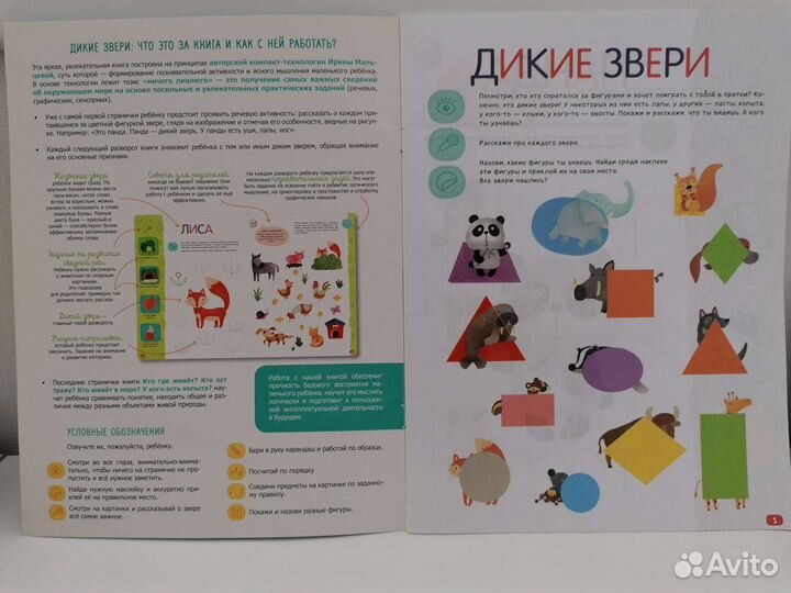 Дикие звери, Домашние животные, Птицы Мальцевой