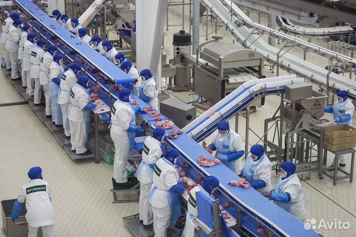 Рабочие РФ, KZ.KP в мясной цех(индейка) вахта