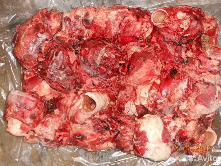 Обрезь говяжья, корм для собак