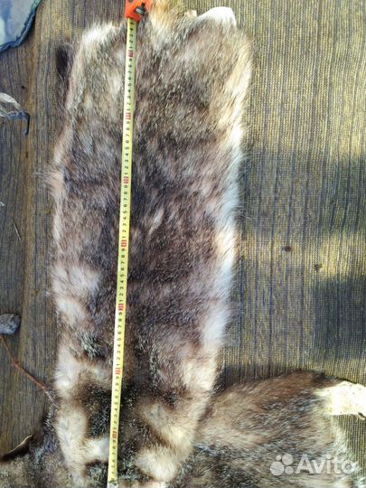 Шкурки барсука