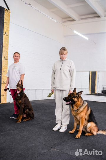 Спорт Дог Дрессировка собак в Астрахани