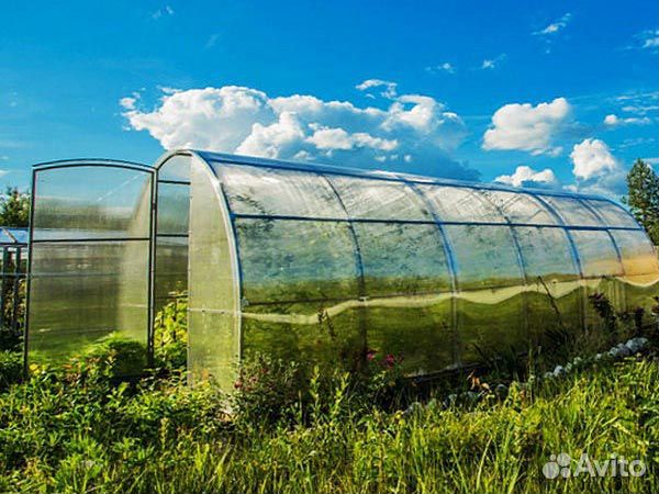 Теплица из поликарбоната