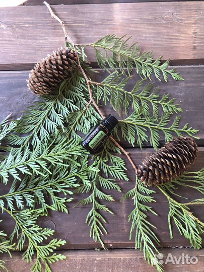 Эфирные масла doterra