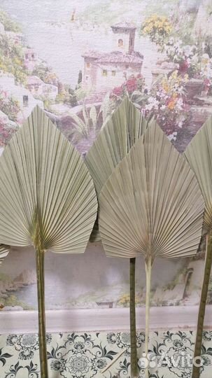 Пальмовые листья. Пики, копья листьев