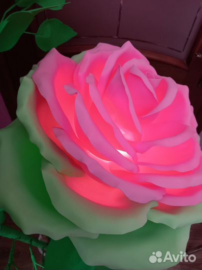 Роза, цветы, светильники, подарок на выпускной