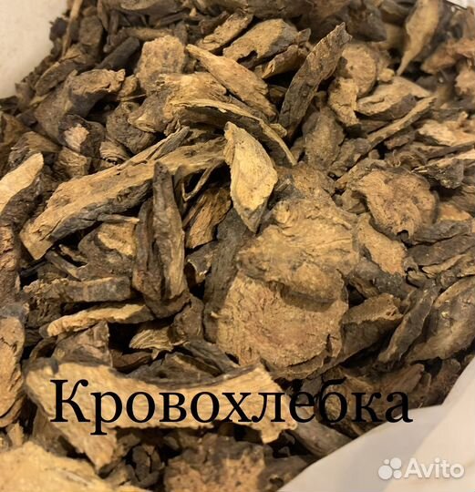 Корень кровохлебки, кукольника