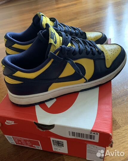 Nike dunk low michigan