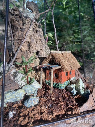 Флорариум без ухода