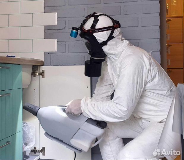 Уничтожение клопов, тараканов, крыс, плесени