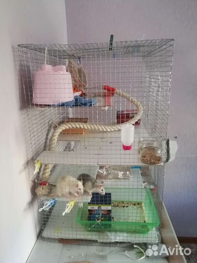 Клетка самодельная для грызунов