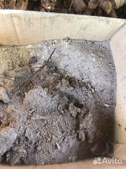 Зола дровянная