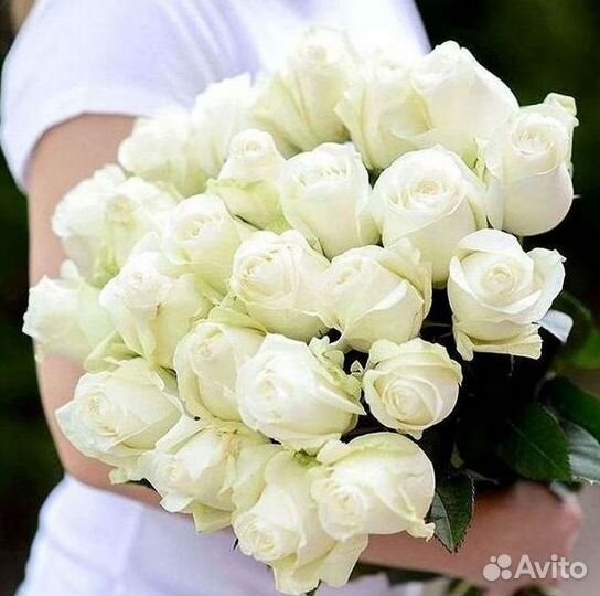 Высокие Розы Гиганты Доставка Круглосуточно