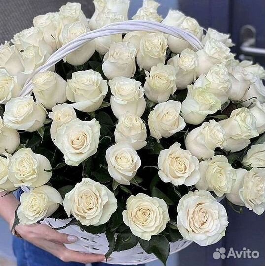 101 роза цветы букеты доставка 25 51 101 роза