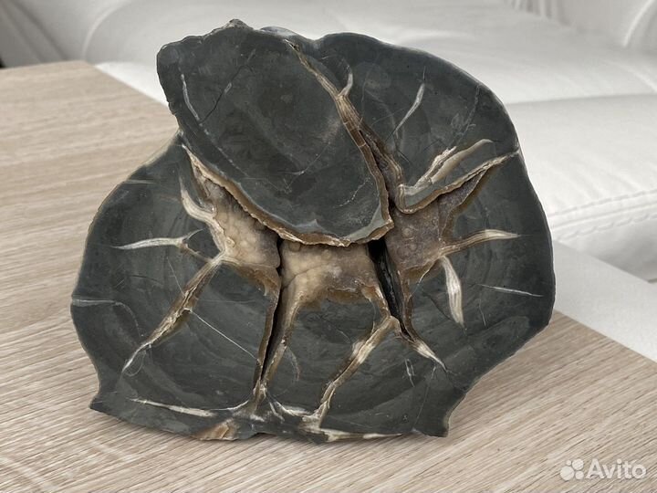 Септария 13*11*4 см срез, минерал природный