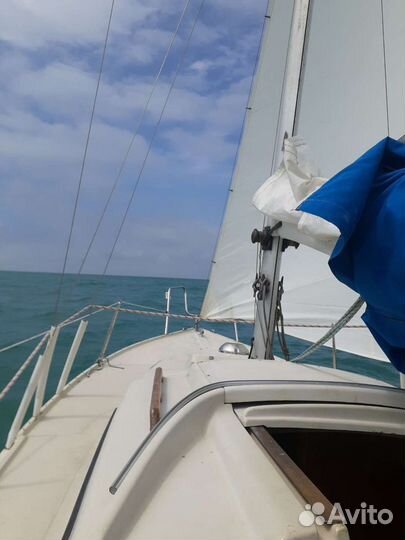 Морские прогулки, рыбалка, яхта, аренда