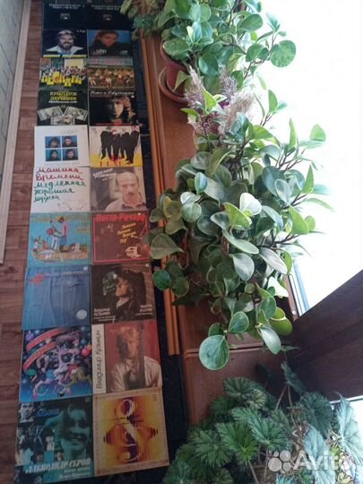 Виниловые пластинки-эстрада+Высоцкий(33LP)