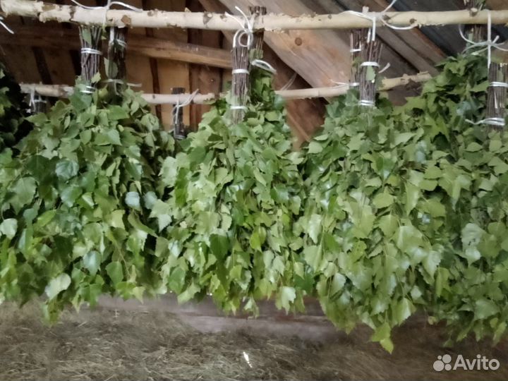 Берёзовые и дубовые веники