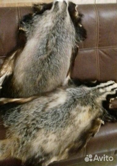 Шкурка барсука