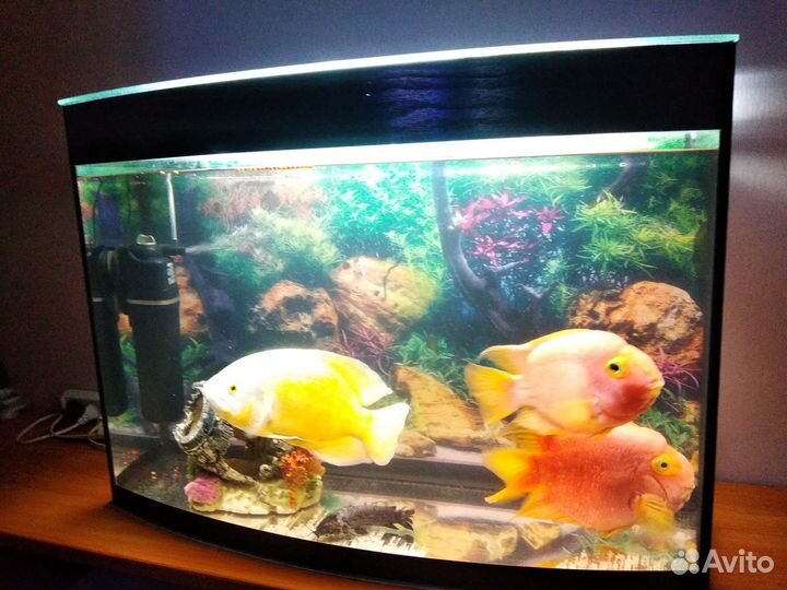 Украшение для аквариума