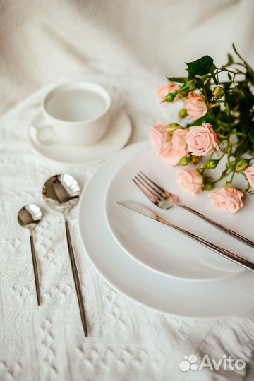 Набор столовых приборов (24 предмета с кейсом)